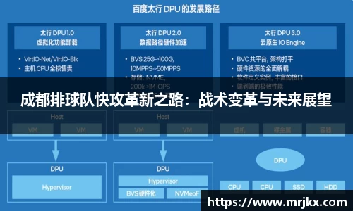 成都排球队快攻革新之路：战术变革与未来展望