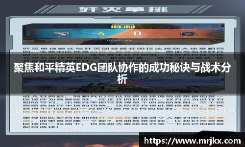 333体育