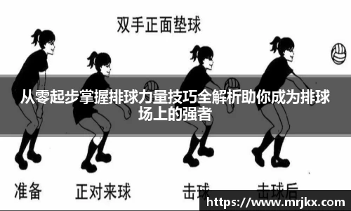 333体育平台