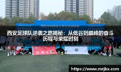 333体育官网