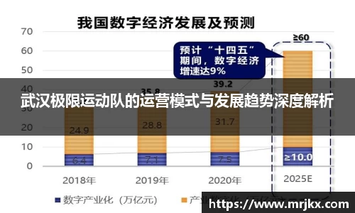 武汉极限运动队的运营模式与发展趋势深度解析
