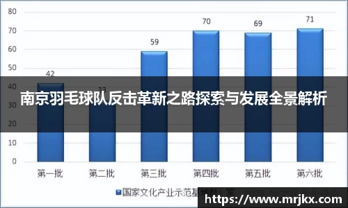 南京羽毛球队反击革新之路探索与发展全景解析