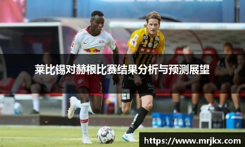 莱比锡对赫根比赛结果分析与预测展望